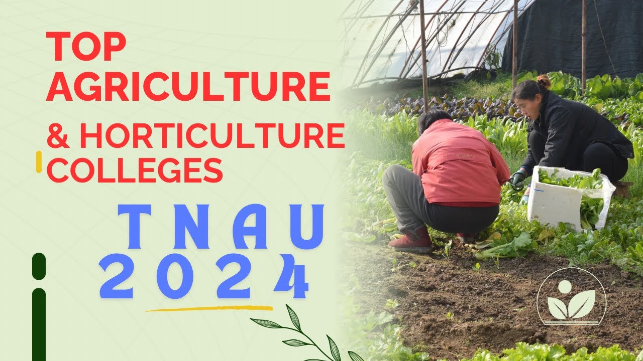 TOP AGRICULTURE COLLEGES IN TAMILNADU TNAU 2024 YouTube