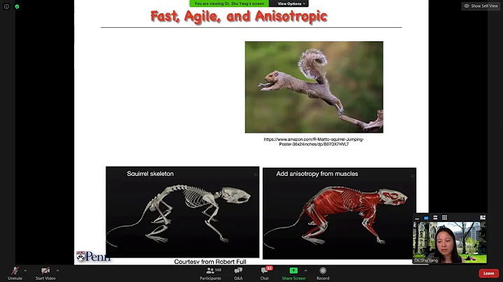 AIM2020 Workshop - Programming Shape Shifting and ...