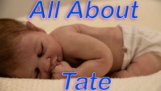 Lets Talk About Tate! Exclusive LE Full Silicone Baby Doll Hand-sculpted Baby Dolls by Claire Taylor