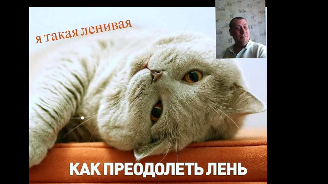 Просто начни! Как действие рождает энергию и преодолевает лень