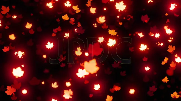 Autumn Leaves Falling Glowing Loop Animation - (4K Preview) - Royalty Free Stock