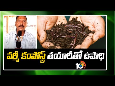 వర్మీ కంపోస్ట్ తయారీతో ఉపాధి | Employment with Making Vermicompost | Matti Manishi | 10TV