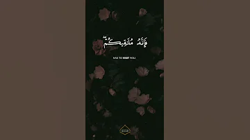 Surah Al Jummah Sherif Mostafa سورة الجمعة شريف مصطفى 