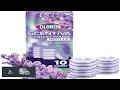 CLOROX Scentiva ToiletWand Toilet Cleaner Refills Toilet brush Lavender and Jasmine 10