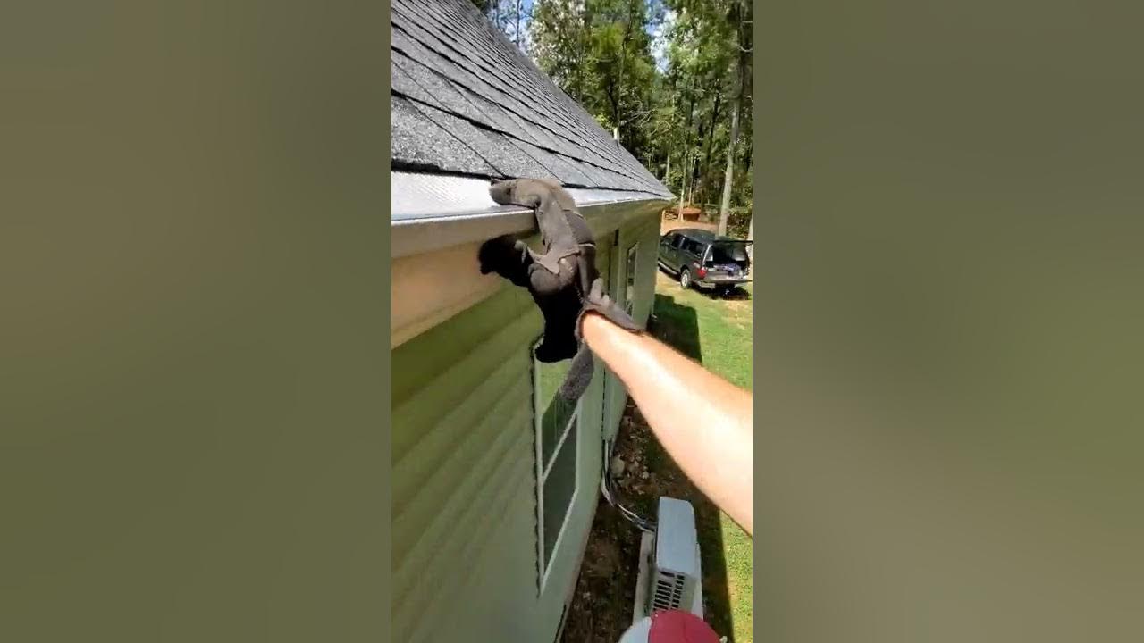 Atlas Gutter Guard Install (Lowe's gutter guard) YouTube
