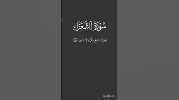 سورة الشّعراء الآية 87-89 بصوت محمد اللحيدان