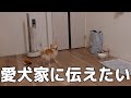 想像以上にショックでした…。
