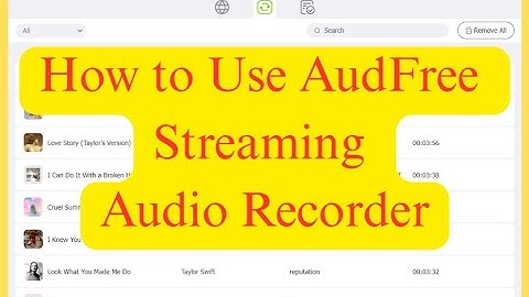 How to Use AudFree Streaming Audio Recorder