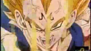 Vegeta GAY