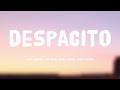 Despacito - Bass Junkies, Luis Fonsi, Daddy Yankee, Justin Bieber {Lyrics Video} 🐙