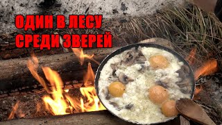 Зимний поход в лес с палаткой | Solo bushcraft | Winter Camping