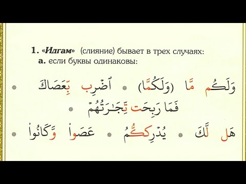 Видео: Остановите его снятие и прочитайте эти 38 Своевременные факты о промедлении