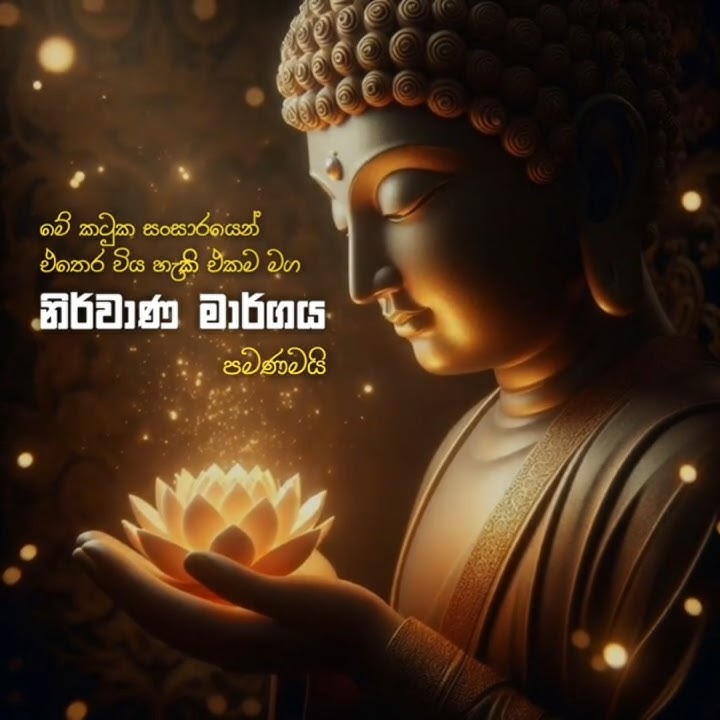 🙏🤍🌺 #edit#life#truth#nirvana#nibbana#lordbuddha#peace