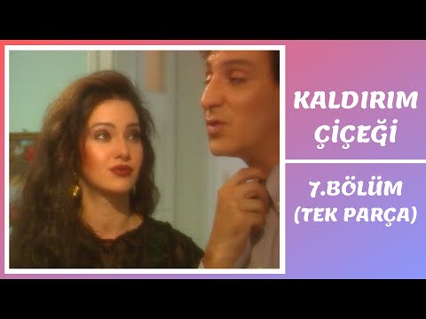 Kaldırım Çiçeği | 7. Bölüm