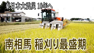 【東日本大震災10年へ】南相馬、稲刈り最盛期　東京のファンも作業手伝い