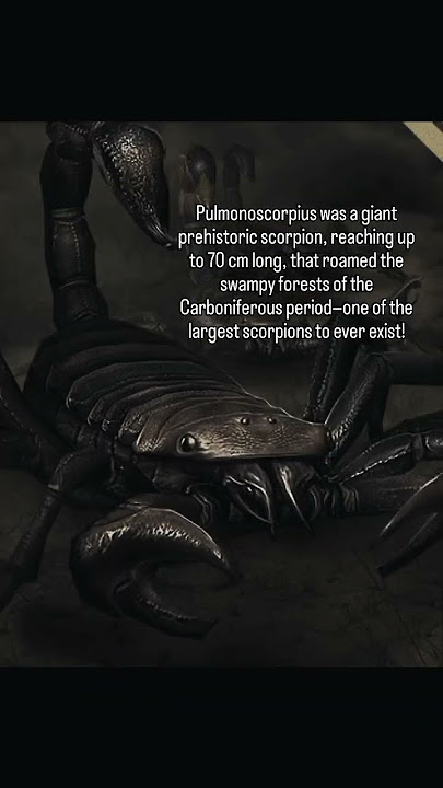 Pulmonoscorpius the extinct creature #extinct #youtubeshorts #scary #dinosaur