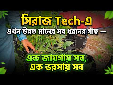 সিরাজ Tech-এ পেয়ে যাবেন এখন থেকে উন্নত মানের সব ধরনের গাছ