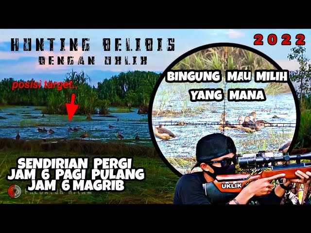 Nekat sendirian 12 jam berburu belibis dengan uklik di sungai angker || belibis nya banyak banget class=