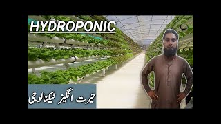 Hydroponics how it works |Advantages of hydroponics system, IR FARM, hindi/urdu