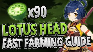Lotus Head 90 Locations FAST FARMING ROUTE | Genshin Impact 2.1