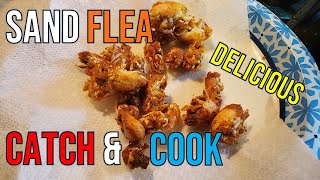 Fried Sand Flea Bites Catch And Cook