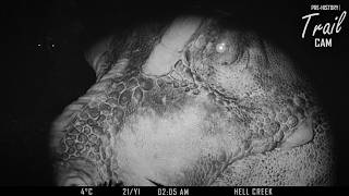 Wildlife trail camera | Tyrannosaurus rex