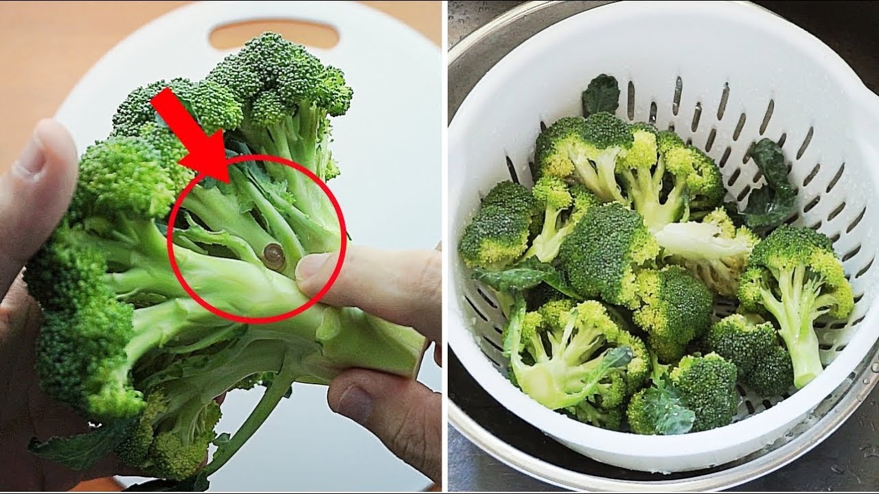 花椰菜藏滿小蟲 用這個妙招讓菜蟲自動跑出來 太神奇了 Youtube