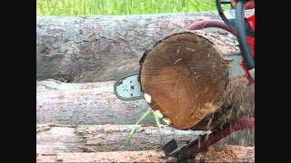 New ECHO CS500P Chainsaw