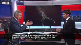 Winners announced in 2019 Wildlife Photographer of the Year award - BBC News report