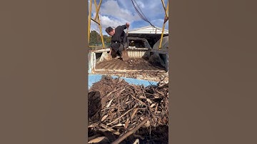 What goes into some of my videos before I even start the video #holden #ute #sandman #v8