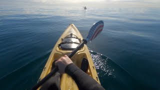 The Slow Reality of Kayak Spearfishing