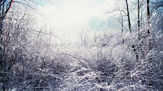Wintry mix possible overnight