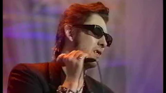 Shane McGowan & The Popes "That Woman's got me drinking" Shane McGowan & The Popes "That Woman's got me drinking"