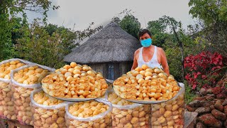 LALAJI KE GOLGAPPE | लाला जी  के गोलगप्पे |  Indian Village Style Golgappa recipe/Panipuri recipe