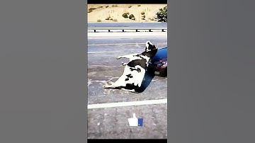 Thumbnail of Cow Shorts //La Vaca Lola song  #shorts  #vaca #lavacalola #cow #viralshorts