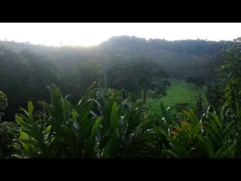 Plenitud, Puerto Rico - sunrise from the gazebo