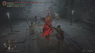 Elden Ring Archive 215