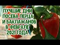 Агрогороскоп посева семян сладкого перца и баклажанов в феврале 2021 года