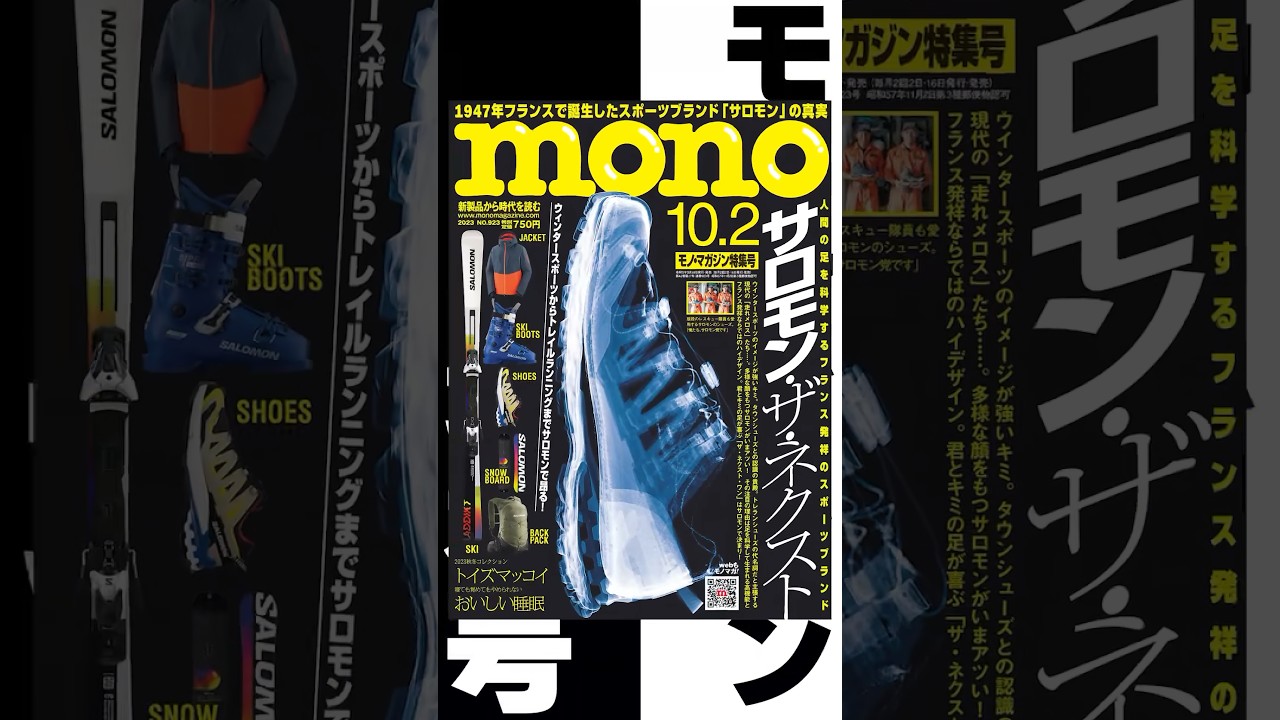 ☆即決☆本日のみ☆ブランド☆サロモン☆スキー☆フランス製 