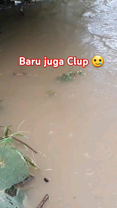 Cuaca Ga Bersahabat ⁉️😌 #mancingikan #mancing #fishing #minivlog #shorts #hujan #ikan #mancingmania
