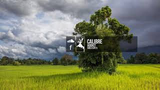 Calibre - Addict Resimi