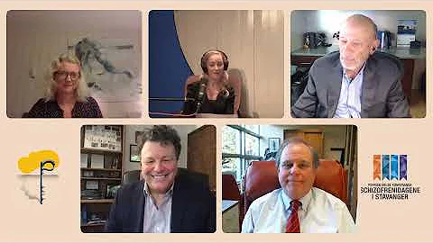 The Developing Therapist; Digital roundtable with ...