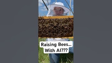 We’re Raising Bees with a Little Help from AI
