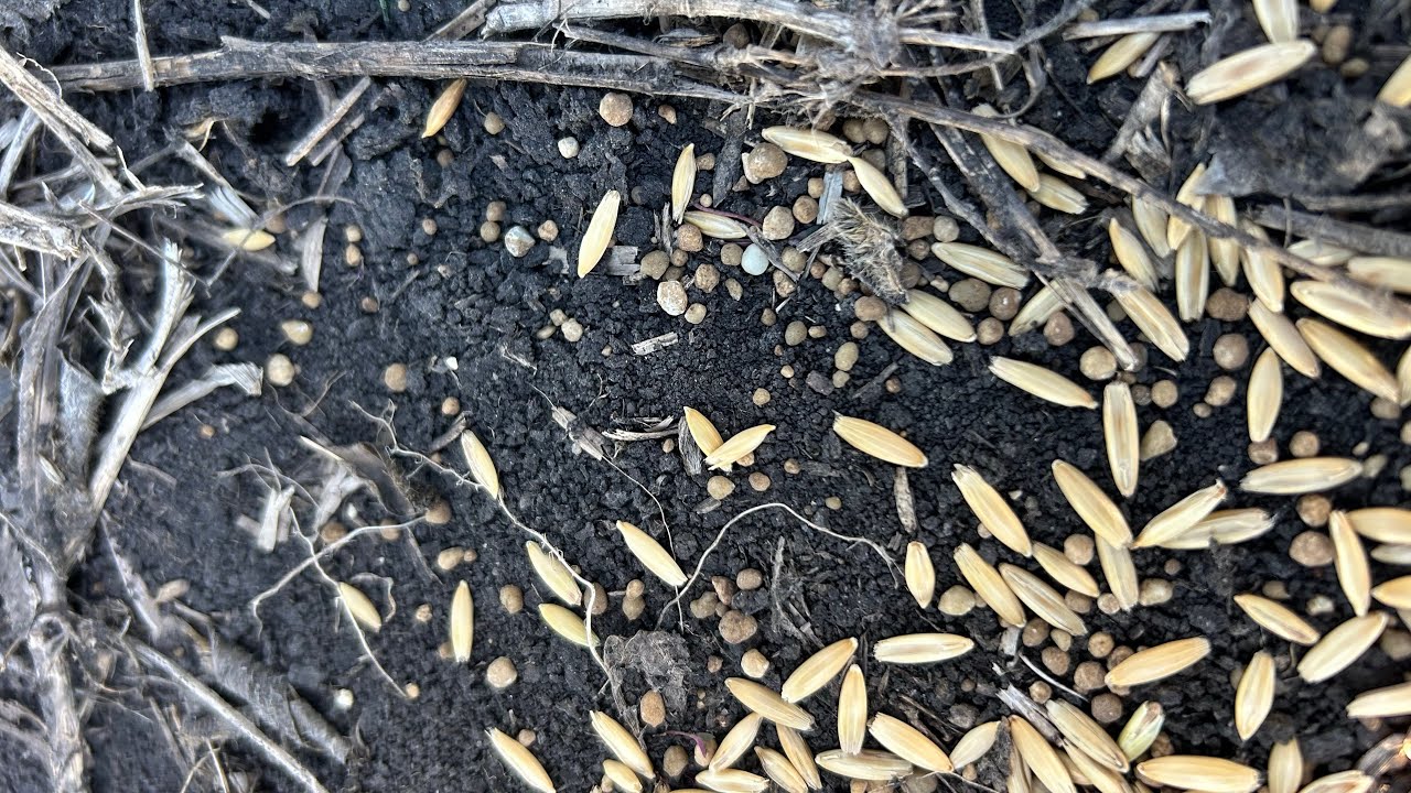 Spring Seeding 2024 with challenging weather - YouTube