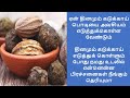        kadukkai benefits in tamil  nalamudan vaazha