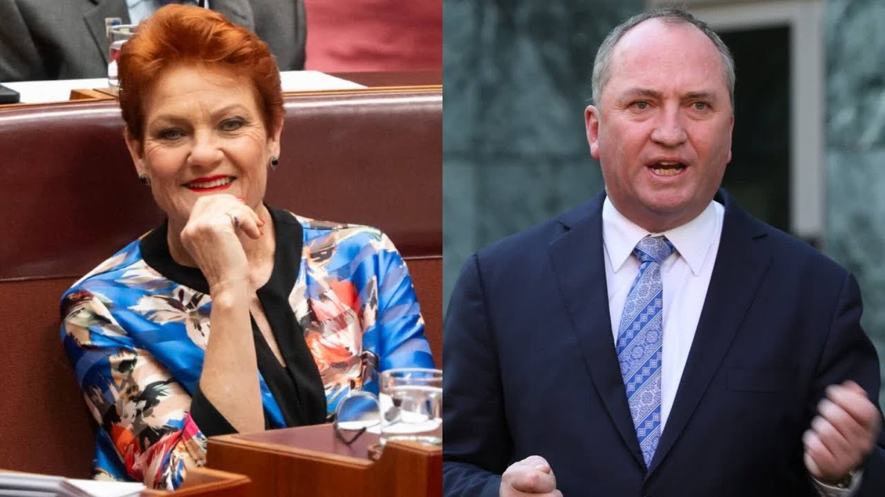 ‘She is the most authentic’: Barnaby Joyce on Pauline Hanson’s polling results