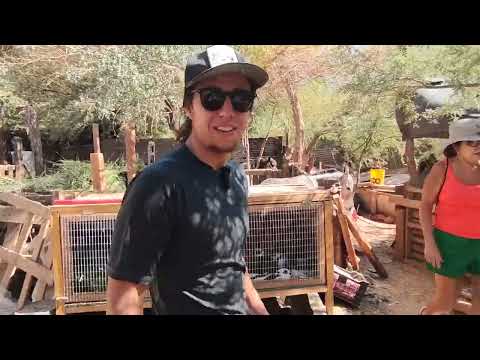 Living in the Atacama Desert | Feeding animals at the Farm | Ep 7