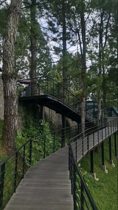 Tempat Nongkrong VIRAL di Puncak‼️ #puncakbogor #puncak #wisatabogor