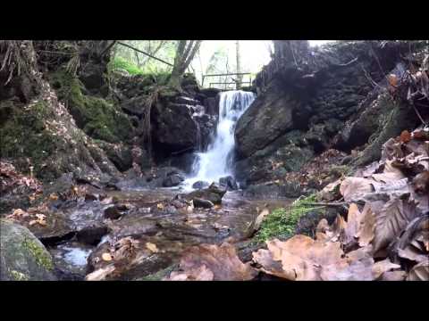 Sever do Vouga , Região de Aveiro