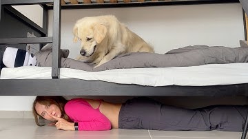 Playing Hide and Seek with My Dog  - Part 4
